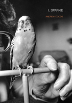 Andrew Dodds new book I, Sparkie showing cover with budgerigar