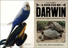 Baltic exhibition leaflet for A Duck for Mr Darwin 